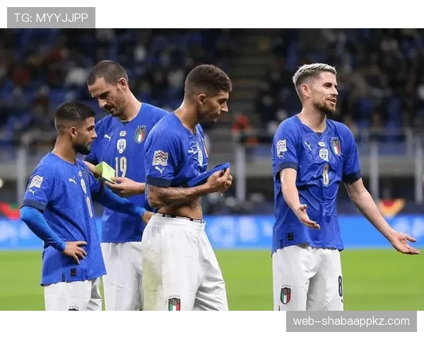 帕利尼亚 vs 赖斯：覆盖能力与全面性对比