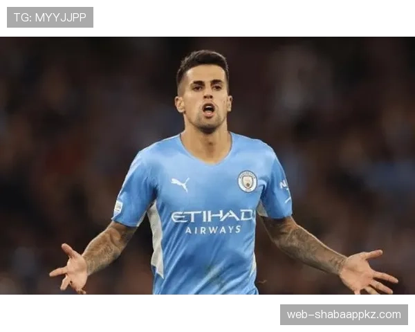 若昂·坎塞洛：本菲卡青训出品技术型边卫解析