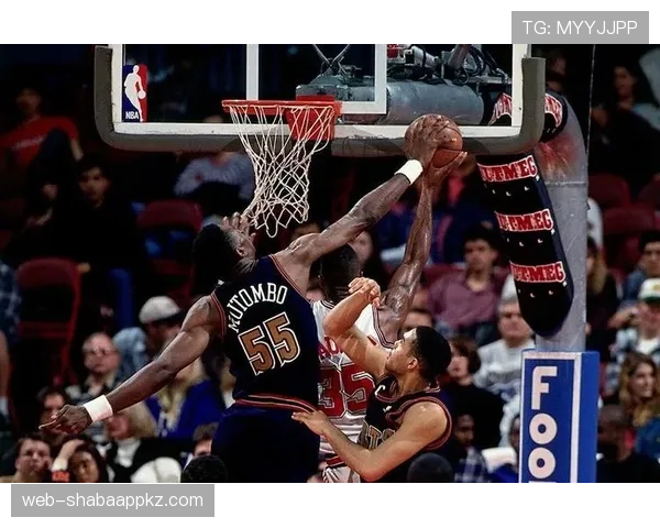 国际篮联和NBA的干扰球规则差异详解，别傻傻分不清楚！
