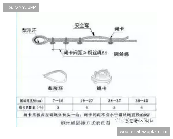 边线规则全解析：判定标准与常见误区一次搞懂