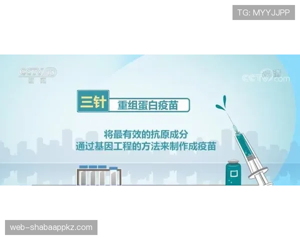 阿什拉夫与坎塞洛推进方式与技术路线差异解析